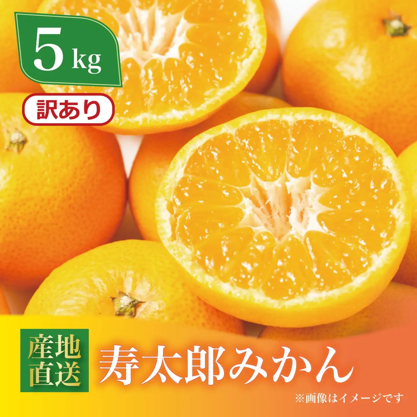 訳あり 寿太郎みかん 約5kg みかん