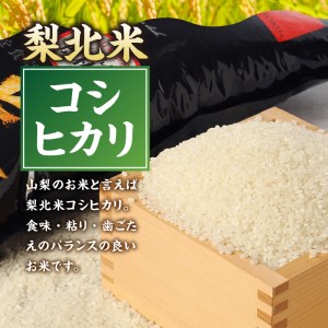 【6ヶ月定期便】「梨北米パックごはん」(150g×3パック)×4袋（12食分）  お楽しみ 温めるだけでおいしいごはん 山梨県最大の米処 北杜市 仕送りギフト 防災