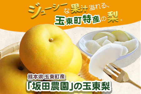 先行予約 梨 玉東梨 約5kg 坂田農園 梨