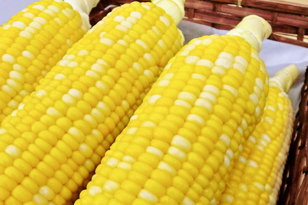 嶽きみ真空パック Lサイズ 20本 しらかみラボ