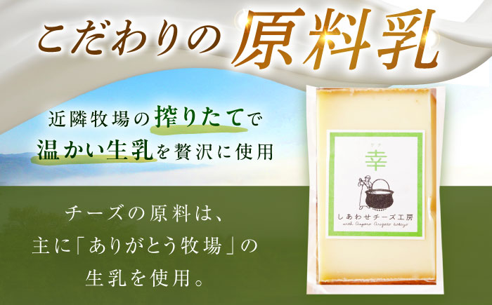 ＼TVで話題／北海道 チーズ 幸 500g（ハードタイプ）【最長2ヶ月を目安に発送】《足寄町》【しあわせチーズ工房】チーズ ナチュラルチーズ ハード 生乳 ミルク 乳製品 おつまみ おすすめ ギフト 