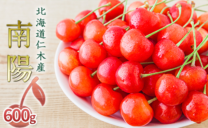 北海道 仁木町産 生産者厳選品 さくらんぼ 南陽 600g（300g×2パック）初夏 夏 味覚 デザート おやつ  サクランボ チェリー フルーツ 果物 果物類 ギフト 仁木町 仁木 [JA新おたる]