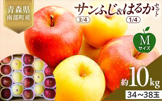 
            青森県産 サンふじ(3/4)・はるか(1/4)セット Mサイズ 10kg 【佐々木あきおはるこ農園】 青森りんご リンゴ 林檎 アップル あおもり 青森県 南部町 三戸 果物 くだもの フルーツ F21U-578
          