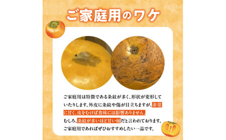 【訳あり品】【10月発送】池尻農園　太秋柿　9～14玉　約3kg　ご家庭用_訳あり品 太秋柿 9～14玉 約3kg ご家庭用 柿 甘柿 フルーツ 果物 スイーツ 甘い 条紋 10月最盛期 完全甘柿 早