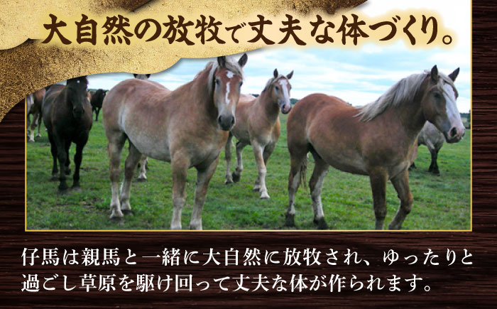 【全3回定期便】「フジチク」ユッケ2種の贅沢食べ比べセット【株式会社フジチク】 [BHAD113]