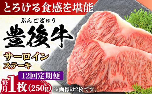 【全12回定期便】おおいた豊後牛 サーロインステーキ 250g (250g×1枚) 日田市 / 株式会社MEAT PLUS　肉 牛肉 和牛 [AREI055]