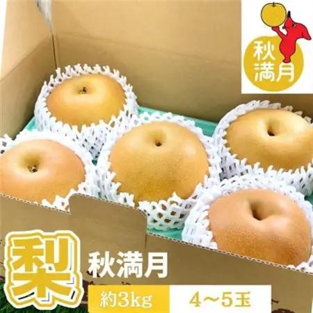 【千葉県横芝光町産】2021年デビューの新品種『秋満月』約3kg(4～5個) 満月のような大玉の梨【1673016】