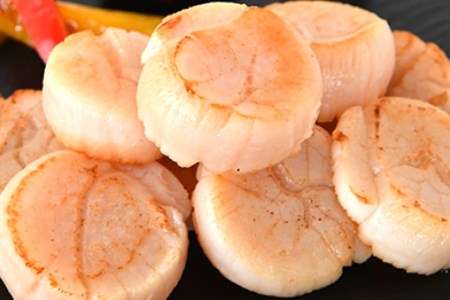 生産者支援 三陸・気仙沼産ホタテ玉冷 500g 