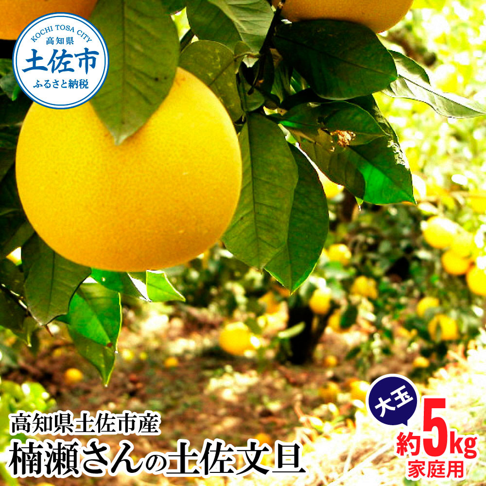
                  【先行予約】楠瀬さんの土佐文旦 家庭用大玉 約5kg 約5キロ 2L～4L〈2027年2月15日～2027年4月5日発送〉ぶんたん ブンタン フルーツ 柑橘 みかん 果物 くだもの 柑橘類 デザート おやつ さっぱり おいしい 甘い【まる庄果樹園】[BQAF011]
                