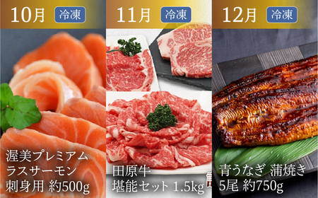 渥美半島の恵み どうまい 定期便 プレミアム 全12回 （ うなぎ いちご 地鶏 名古屋コーチン メロン マスクメロン ブランド豚 田原ポーク ハム ソーセージ ブルーベリー ジェラート とうもろこし