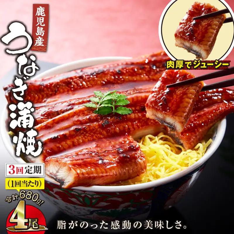 【 全3回 定期便 】 鹿児島産 うなぎ 蒲焼 170g×4尾 清らかな 地下水 育ち！ KN021-T31 ウナギ 鰻 冷凍