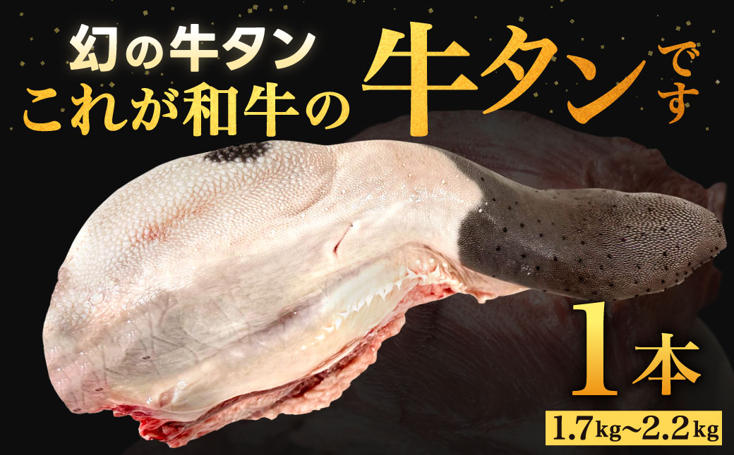 幻の牛タン これが和牛の牛タンです【2026年1月上旬～2月下旬発送予定】黒毛和牛 和牛 牛タン 肉 お肉 高級 サシ 焼肉 BBQ 希少 新鮮 国産 九州産 冷蔵