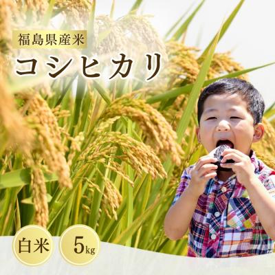ふるさと納税 南相馬市 令和7年産 コシヒカリ 白米 5kg | 米 こめ コメ 大粒 福島県 サムランド