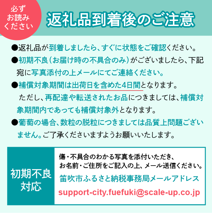 ＜2024年先行予約＞産地厳選シャインマスカット1.2kg～1.3kg（2房～3房）※沖縄・離島配送不可※ 106-003