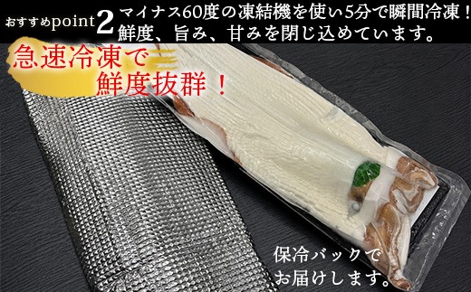 急速冷凍で鮮度抜群！鮮度、旨み、甘みを瞬間冷凍で閉じ込めました。