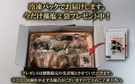 クエ鍋セット 500g タマクエ 切り身 ＋ アラ 合計 500g 2～3人前 冷凍 クエ 高級 幻 新種 鍋 クエ鍋 アラ鍋 海鮮 刺身 生食 脂 プレミアム 新鮮 白身魚 淡泊 蒸し料理 グリル 