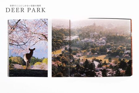 奈良の鹿 写真集「DEER PARK 世界でここにしかない奇跡の場所」　写真集　写真集　写真集　写真集　写真集　I-193 奈良 なら