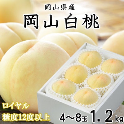 【先行受付】岡山白桃 ロイヤル 4～8玉 1.2kg 岡山県産【配送不可地域：離島・北海道・沖縄】【1305694】