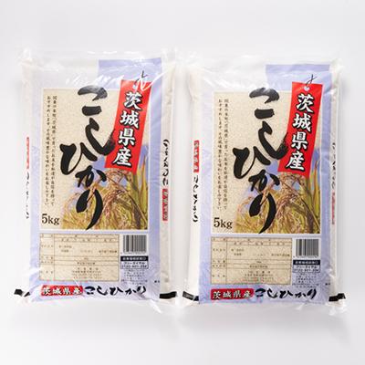 ふるさと納税 稲敷市 【令和7年産】茨城県稲敷市産こしひかり10kg(5kg×2) |  | 01