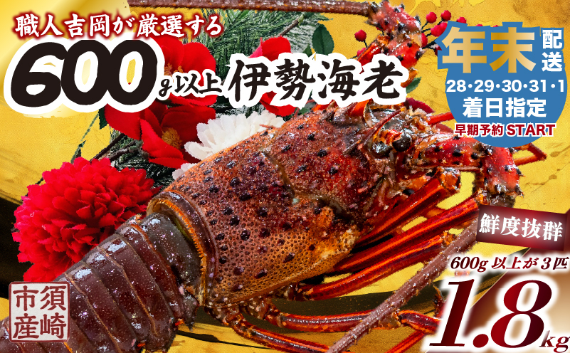 【伊勢海老】 【年末予約配送･1日着】特大伊勢海老 3匹 3匹1.8kg以上(1月1日配送)