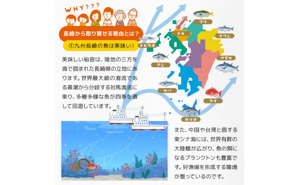 【全6回定期便】長崎加工 訳ありおまかせ干物 4種類(12枚) とカラスミ詰め合わせ ／ 干物 珍味 魚介 海鮮 魚 からすみ 詰め合わせ セット 冷凍 九州 長崎県 長崎市