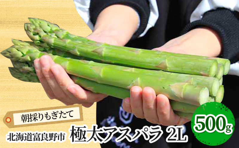 【2026年春発送】極太 グリーンアスパラ 2Lサイズ 500g 北海道 富良野産 野菜 アスパラガス