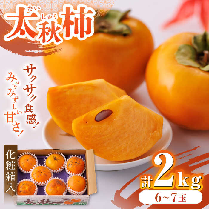 【ふるさと納税】【先行予約】【10月下旬より順次発送】【化粧箱入り】山都町産 太秋柿 約2kg 甘柿 柿 かき 果物 フルーツ デザート スイーツ 秋の味覚 産地直送 山都町産 プレゼント 贈り物【大浜農園】[YCE001]