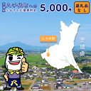 【ふるさと納税】 【 返礼品なし 】茨城県 八千代町 ふるさと応援寄附金 （ 5,000円 )