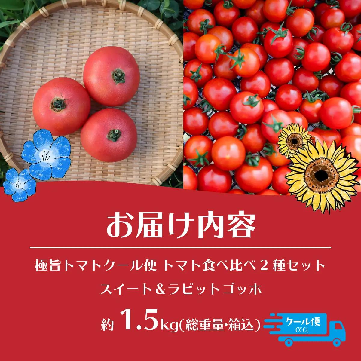 【2026年予約】極旨トマトクール便 食べ比べ2種セット 北海道壮瞥町産 スイート＆ラビットゴッホ 1.5kg 中玉トマト SBTAJ027