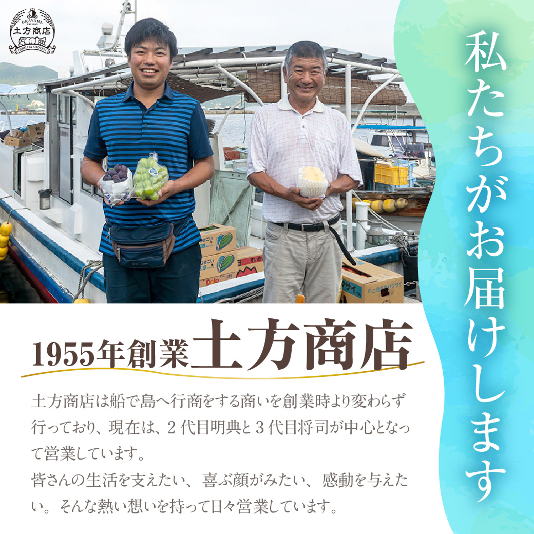 【ANA限定】【定期便】岡山県産　桃 約2kg・シャインマスカット 約2kg 計6回発送【2026年発送分】