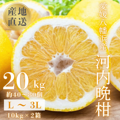 
            《果汁たっぷりジューシー》産地直送 愛媛八幡浜産 河内晩柑20kg＜H20-81＞【1621533】
          