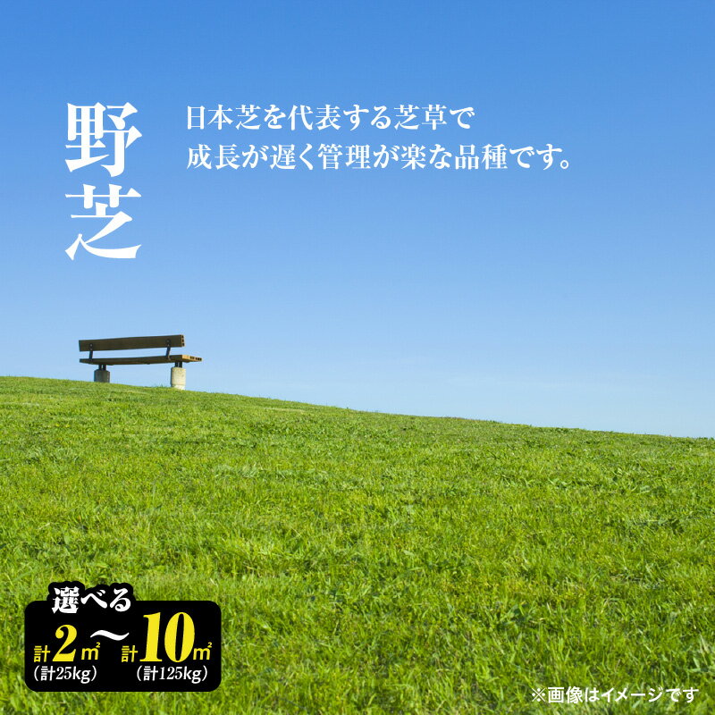 【ふるさと納税】【10月から5月に発送】＜選べる＞野芝 2平方メートル or 10平方メートル 芝生 芝 庭 天然芝 成長が遅い 手入れが楽 暑さに強い お手入れ ガーデニング DIY かのや緑化協同組合 鹿児島 鹿屋市 おすすめ ランキング プレゼント ギフト