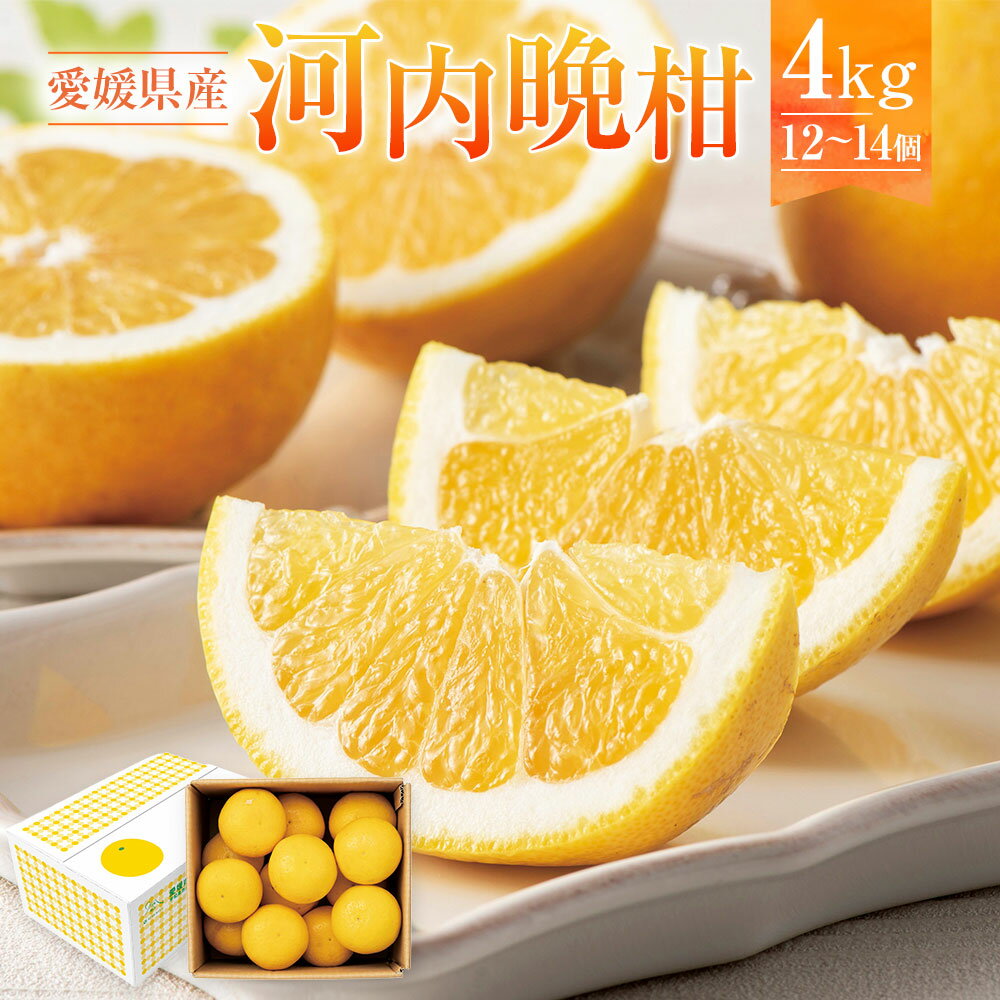【ふるさと納税】愛媛県産 河内晩柑 約4kg 12～14個 みかん ミカン 蜜柑 柑橘 果物 くだもの フルーツ おやつ デザート 国産 愛媛県 送料無料【2025年5月下旬～6月上旬発送予定】(873)