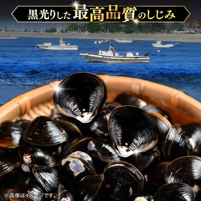 しじみ しじみ 砂抜き不要！ 活ヤマトシジミ 生しじみ 2kg 島根県松江市/株式会社漁師村[ALDN003] しじみ しじみ