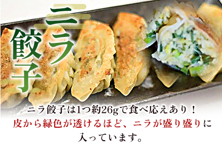 【数量限定！】＜ニラ餃子(12ヶ入×5パック)＞【MI285-fu】【福栄生餃子店】