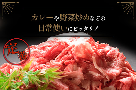 ［訳あり・数量限定］宮崎県産黒毛和牛 切落しスライス（500g×2パック）合計1kg【B491】