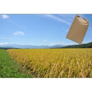 長野県産特別栽培米　ミルキークイーン　精米　5kg【1716824】