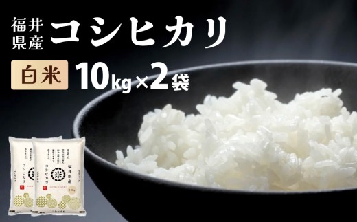 福井県産 コシヒカリ 精米 20kg(10kg×2袋）＜令和8年産＞【米 コメ お米 精米 白米 無洗米 玄米 ご飯 飯 こしひかり ブランド米 国産】[095-a629]