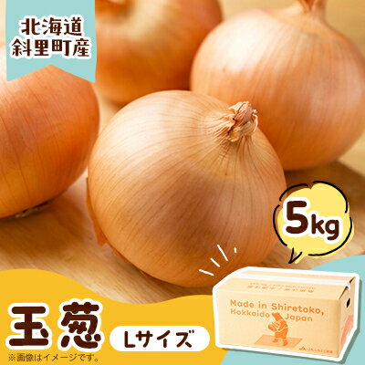 【ふるさと納税】産地直送知床の恵み凝縮!斜里の玉葱Lサイズ5kg　産地直送【配送不可地域：離島・沖縄県】【1537871】