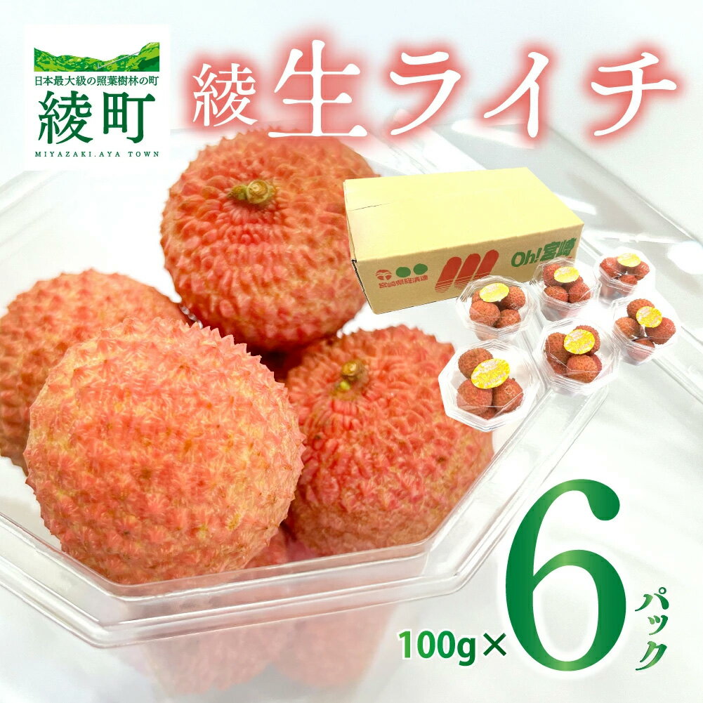 【ふるさと納税】希少 国産 綾生ライチ お裾分けセット [6パック] / 宮崎県 綾町産 ライチ 果物 フルーツ 先行受付 予約 産地直送 期間限定 小分け 冷蔵 送料無料 ふるさと納税