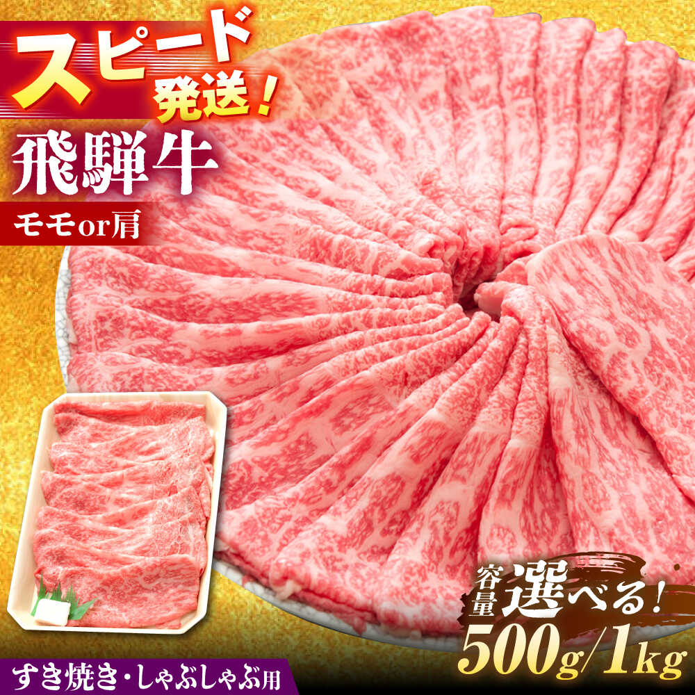 【ふるさと納税】【選べる容量】 飛騨牛 すき焼き しゃぶしゃぶ 両用 瑞浪市 / 養老ミート 冷凍 モモ 肩 赤身 あっさり 和牛 ギフト[AZDB005]