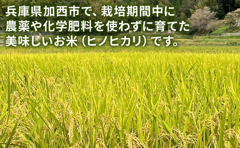 米 コウノトリ舞う田んぼで大自然が育てた"有無ファーム"
