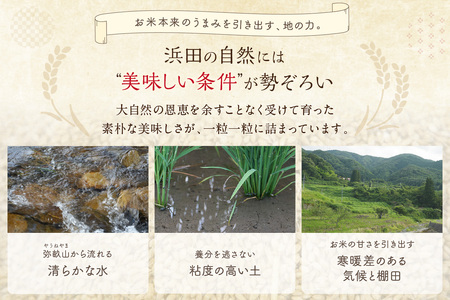 【定期便】【令和7年産】弥栄町産特別栽培米「秘境奥島根弥栄」こしひかり10kg（12回コース） 米 お米 こしひかり 特別栽培米 精米 白米 ごはん 定期 定期便 12回 お取り寄せ 特産 新生活【0