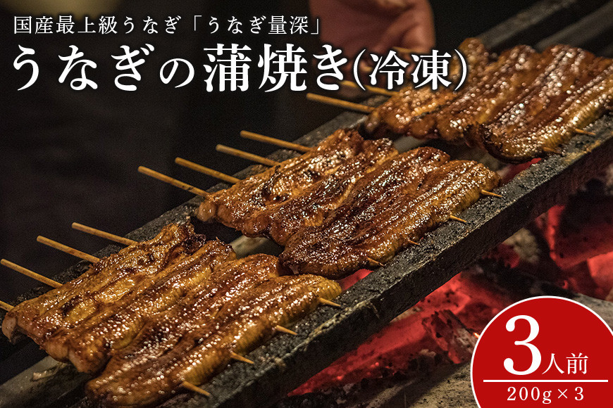 
            うなぎ３人前セット
          