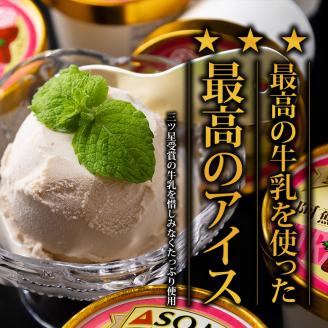 牧場直送！阿蘇ミルクアイスセット イチゴ10個 阿部牧場 牧場 アイス 10個 牛乳 ミルク MILK 乳製品 最優秀味覚賞 人気 濃厚 こだわり イチゴ いちご セット 詰め合わせ スイーツ デザー