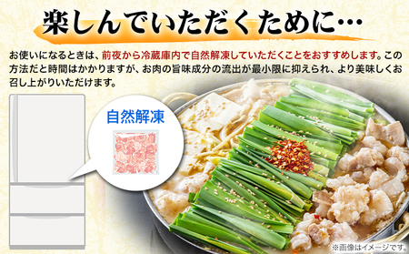 もつ鍋 博多 牛もつ鍋 セット 3~4人前 株式会社木村食品《90日以内に出荷予定(土日祝除く)》福岡県 鞍手郡 小竹町 牛 牛肉 もつ 鍋 送料無料