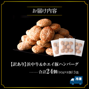 ハンバーグ 浜中牛&ホエイ豚 24個 ハンバーグ_H0019-102
