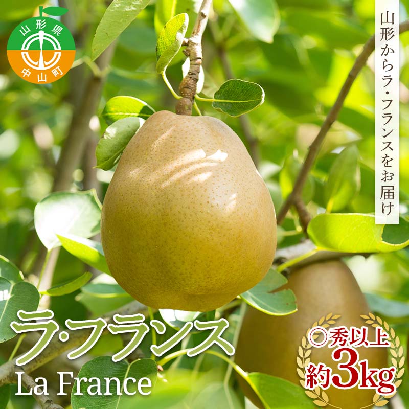 【ふるさと納税】 《先行予約》2026年度発送 山形県産 ラフランス○秀品以上約3kg F4A-0994