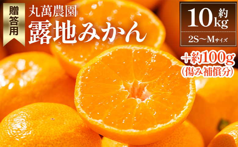 【2025年出荷分】露地みかん(2S～Mサイズ) 10kg＋約100g (傷み補償分) 贈答用 丸萬農園 mn-0002