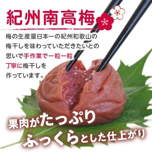 【0399-3】しそ漬け梅干し 1kg 昔ながらのしょっぱい梅干し すっぱい梅干（塩分約17%）和歌山県産